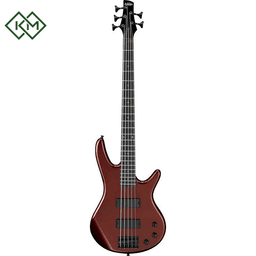 bass-guitar-ibanez-gsr325-cwf