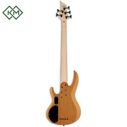 bass-guitar-ltd-b-155dx