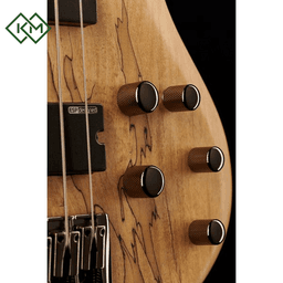 bass-guitar-ltd-b-204-spalted-maple-ns