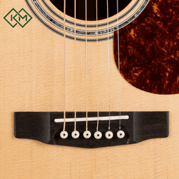 acoustic-guitar-cort-earth-100