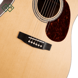 acoustic-guitar-cort-earth-100