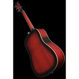 acoustic-guitar-ibanez-v50njp-vs