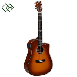 acoustic-guitar-ltd-d100-absbs