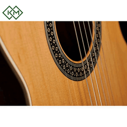 classical-flamenco-guitar-alhambra-1c-ht