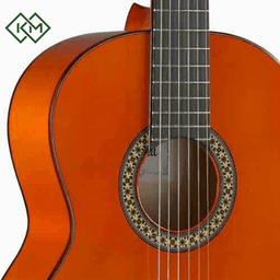 classical-flamenco-guitar-alhambra-4f