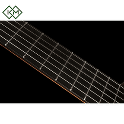 classical-flamenco-guitar-alhambra-10fp