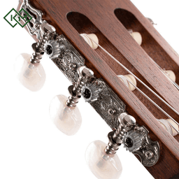 classical-flamenco-guitar-cort-ac100-op