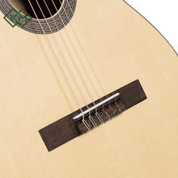 classical-flamenco-guitar-cort-ac100-op
