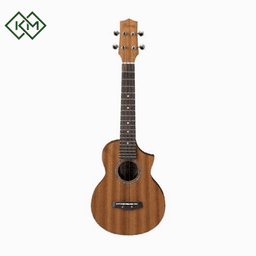 ukulele-ibanez-uew5-opn