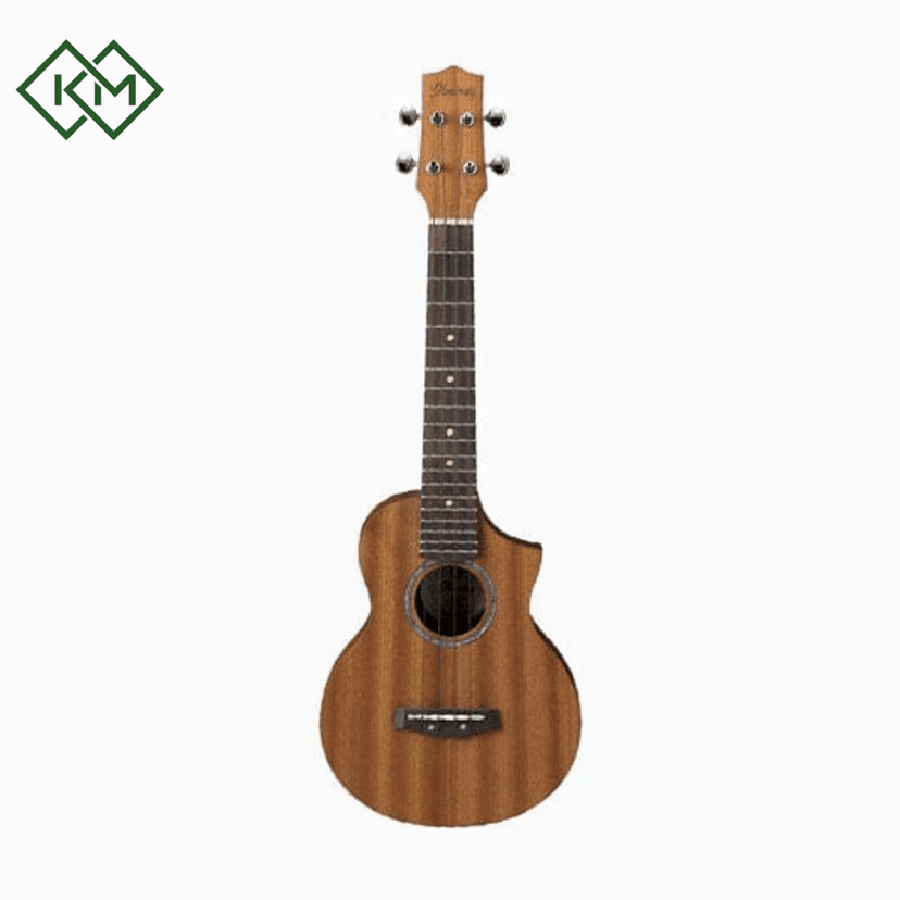 ukulele-ibanez-uew5-opn