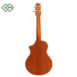ukulele-ibanez-uewt5-opn
