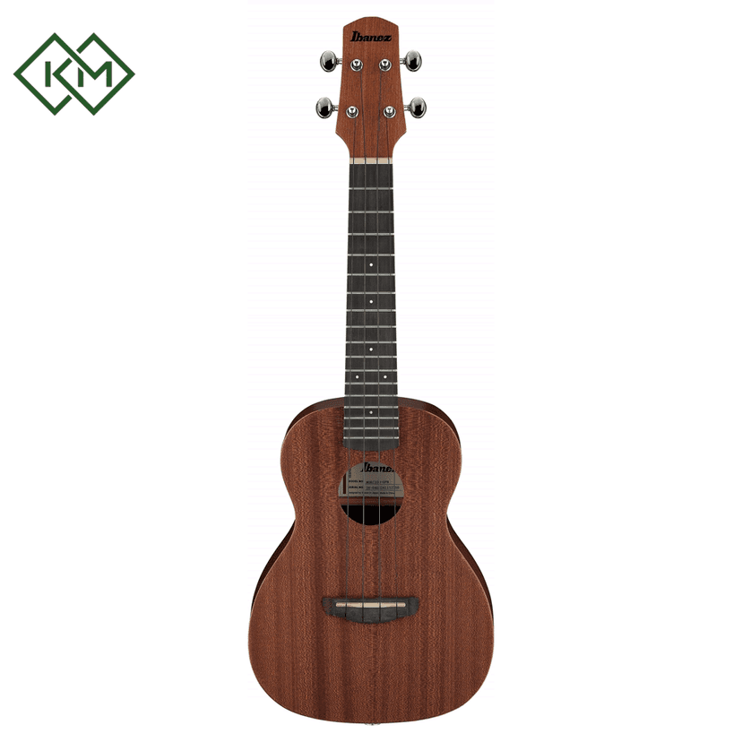 ukulele-ibanez-uks100-opn