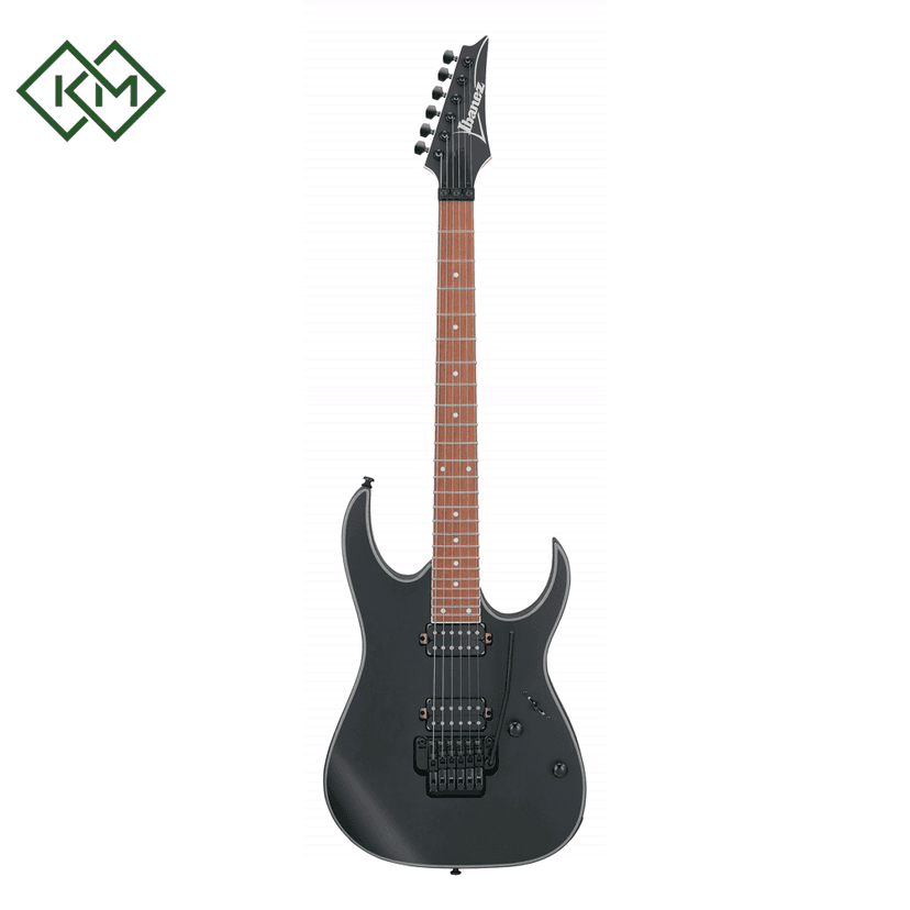 electric-guitar-ibanez-rg420ex-bkf