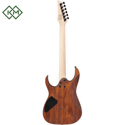 electric-guitar-ibanez-rg421-mol