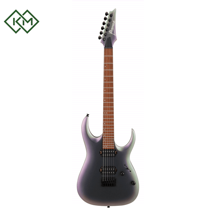 electric-guitar-ibanez-rga42ex-bam