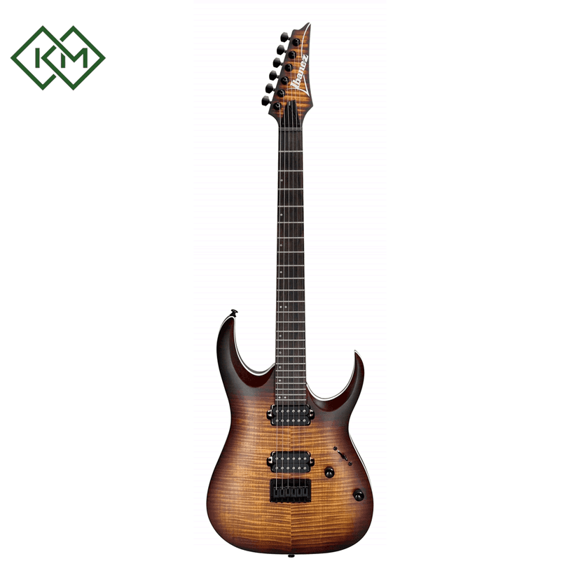 electric-guitar-ibanez-rga42fm-def