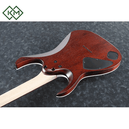 electric-guitar-ibanez-rga42fm-def